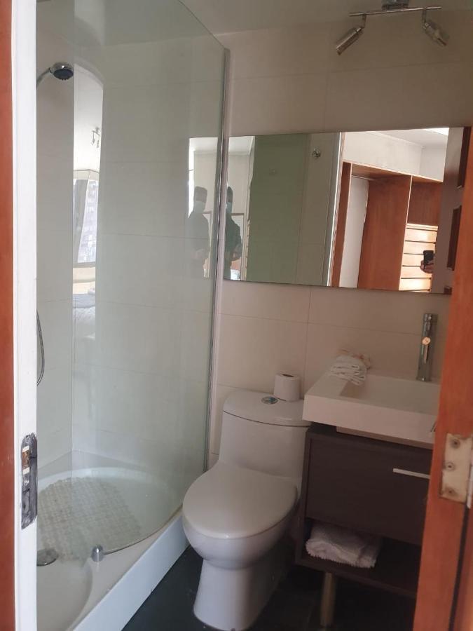 Departamento En Providencia Cerca Del Costanera Center Apartment Сантяго Екстериор снимка